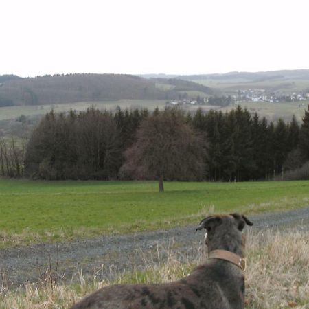 Funny-Farm Sassen Exterior foto