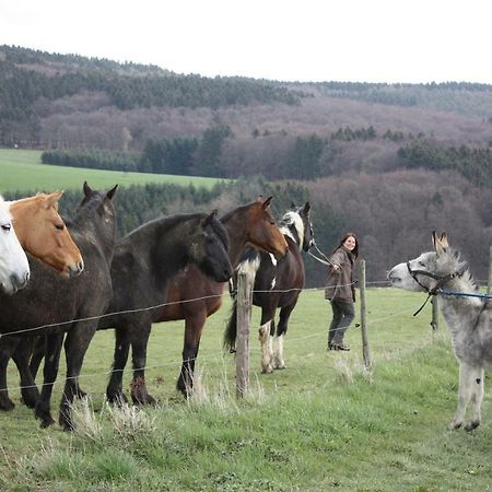 Funny-Farm Sassen Exterior foto