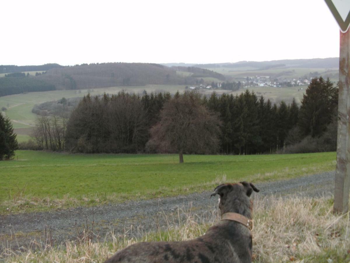 Funny-Farm Sassen Exterior foto