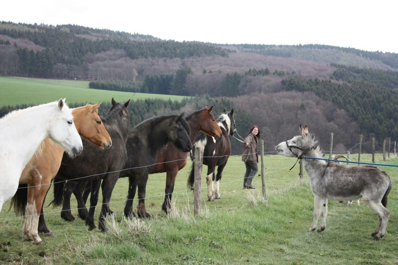 Funny-Farm Sassen Exterior foto
