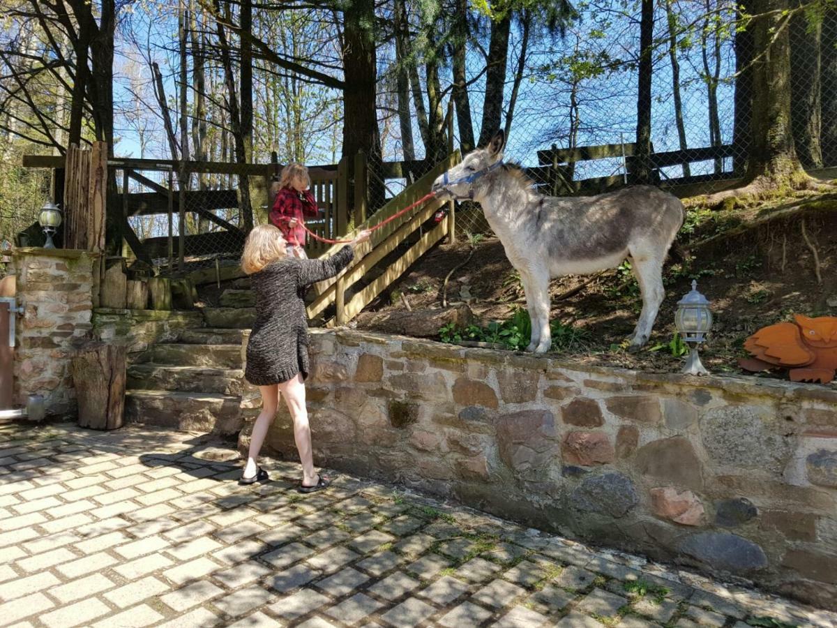 Funny-Farm Sassen Exterior foto