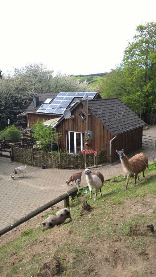 Funny-Farm Sassen Exterior foto